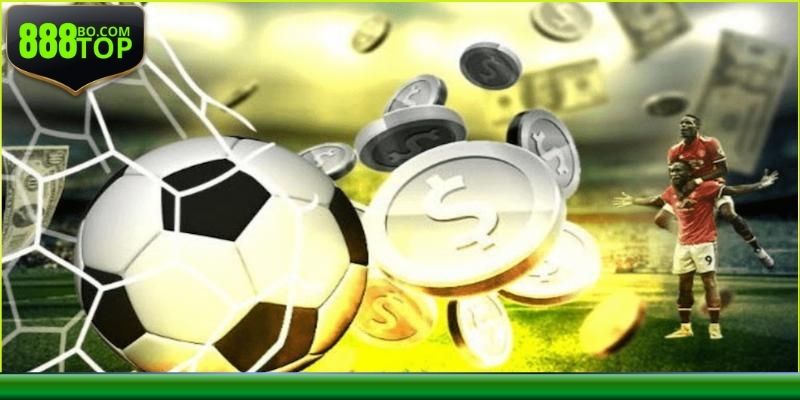 Tổng quan về sảnh thể thao